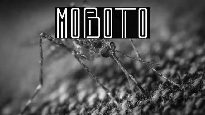 MOBOTO Example 3