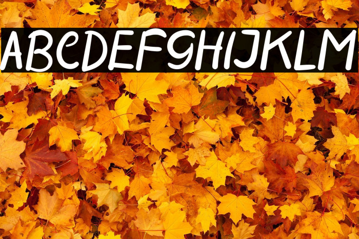 MODERN SCHOOL Example 1