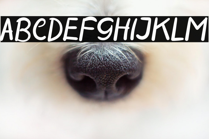 MODERN SCHOOL Example 2