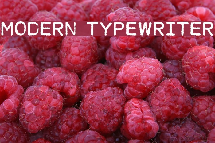MODERN TYPEWRITER Font examples