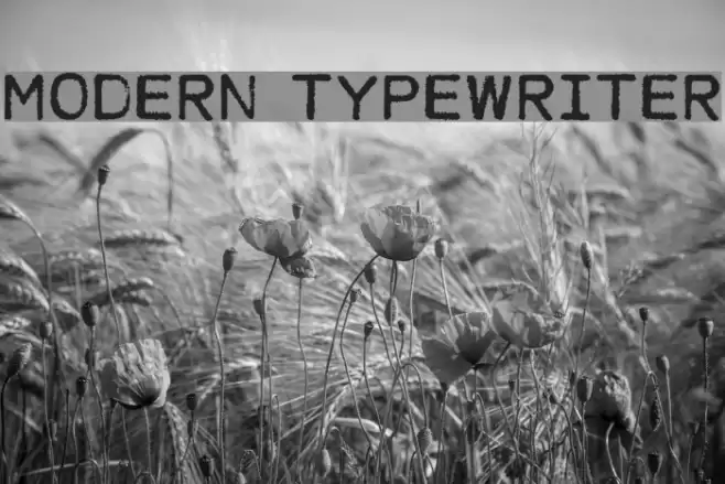 MODERN TYPEWRITER Шрифта examples
