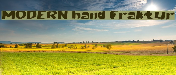 MODERN hand fraktur Example 3