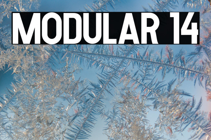 MODULAR 14 Example 3