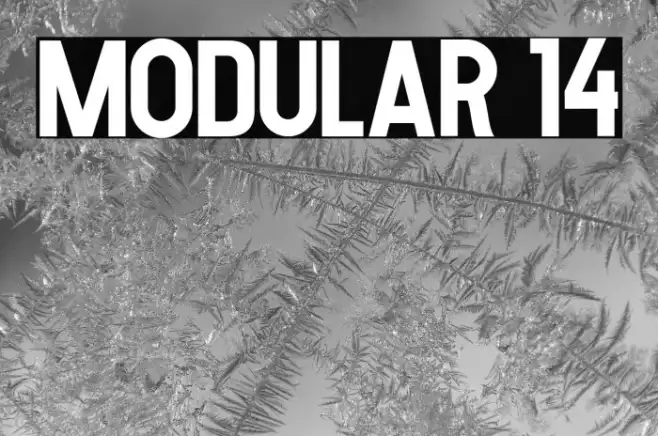 MODULAR 14 Example 3