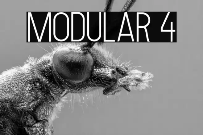 MODULAR 4 Example 1