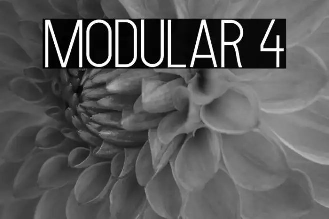 MODULAR 4 Example 2