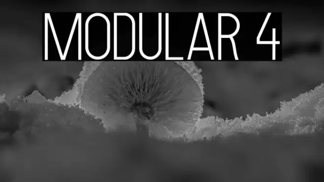 MODULAR 4 Example 3