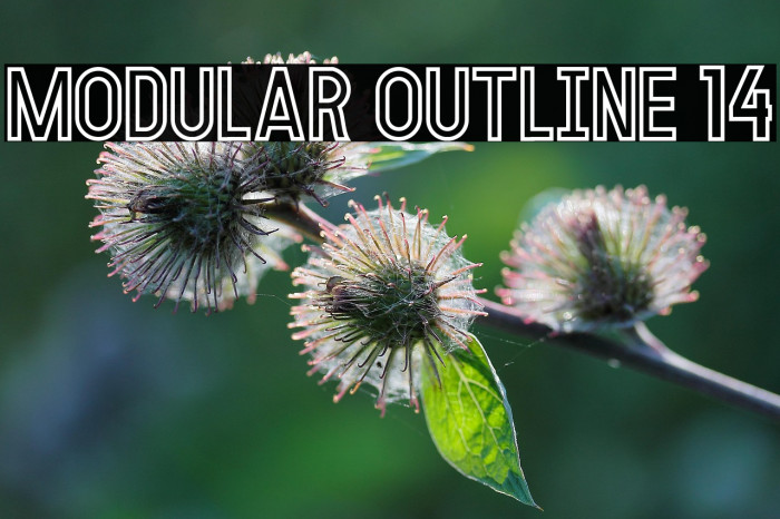 MODULAR Outline 14 Example 3