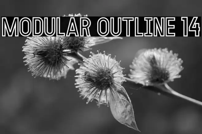 MODULAR Outline 14 Font examples