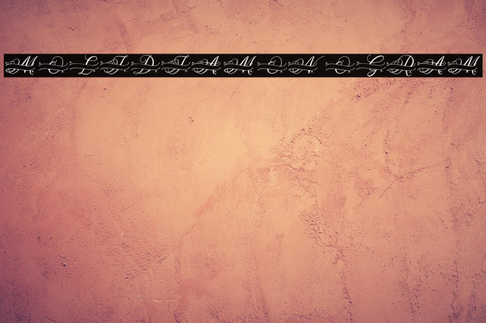 MOLIDIA MONOGRAM Example 1