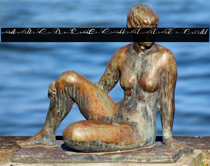 MOLIDIA SPLIT MONOGRAM Example 2