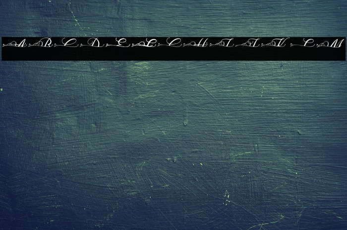 MOLIDIA SPLIT MONOGRAM Example 3