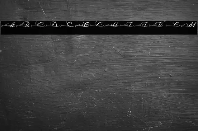 MOLIDIA SPLIT MONOGRAM Font examples