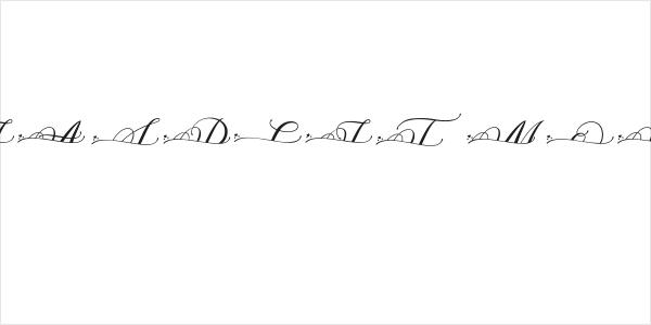 MOLIDIA SPLIT MONOGRAM Logo