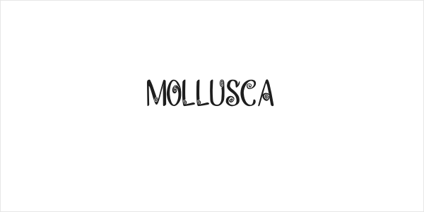MOLLUSCA Logo