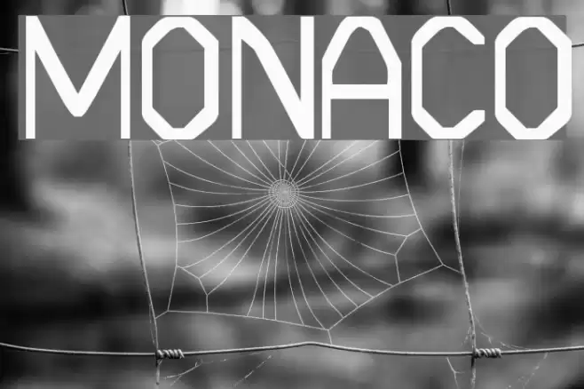 MONACO フォント examples