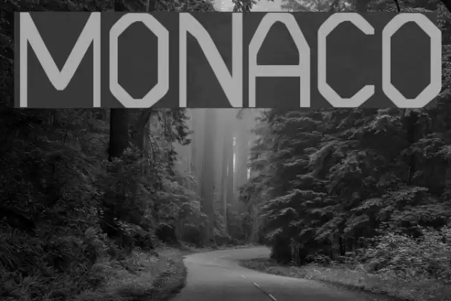 MONACO フォント examples