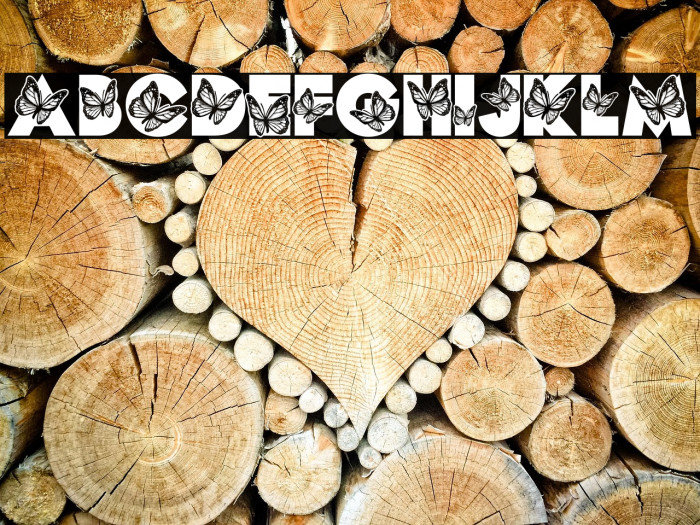 MONARCH PERSONAL USE Bold Example 1