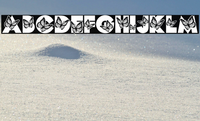 MONARCH PERSONAL USE Bold Example 3