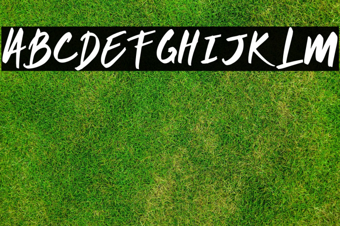 MONDAY-Regular Example 3