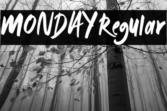 MONDAY-Regular Font examples