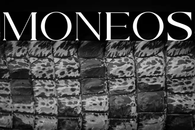MONELOS Example 1