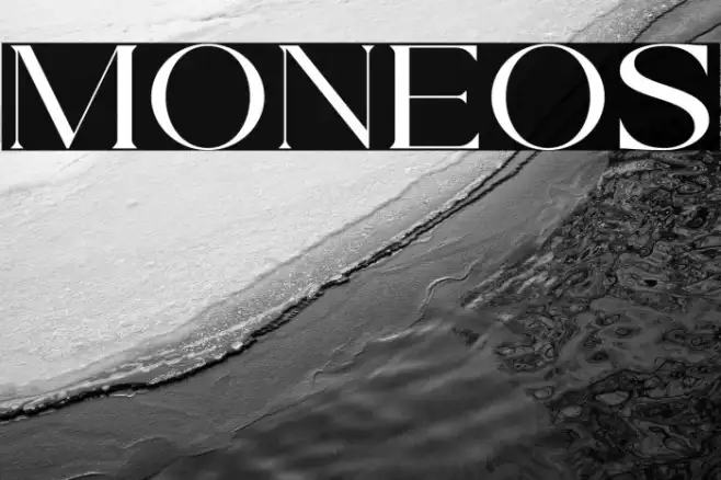 MONELOS Example 2