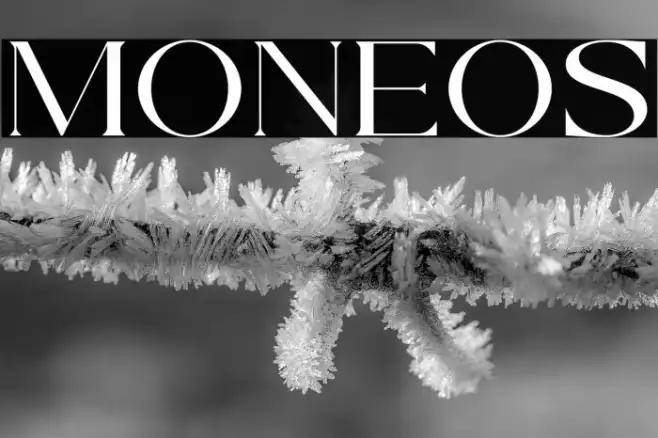 MONELOS Example 3
