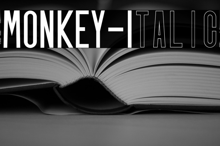 MONKEY-Italic Example 2