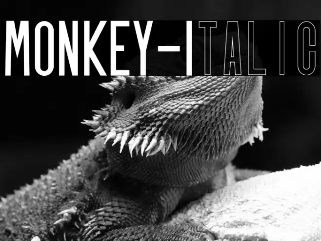 MONKEY-Italic Example 3