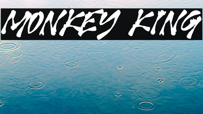 MONKEY KING Example 3