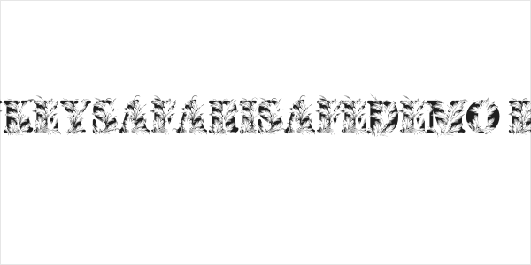 MONKEYSAFARISAFEDEMO-Bold Logo