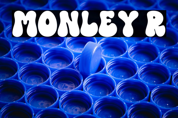 MONLEY Regular Example 1