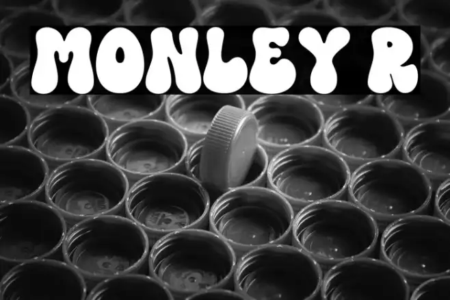 MONLEY Regular Example 1