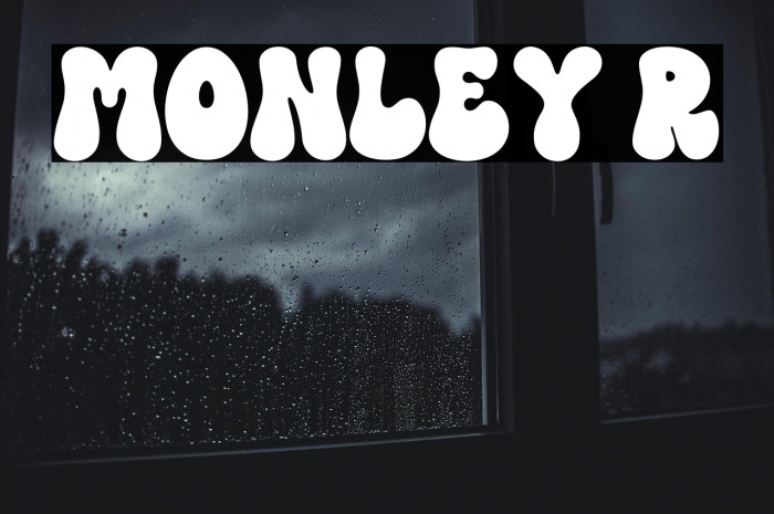 MONLEY Regular Example 3