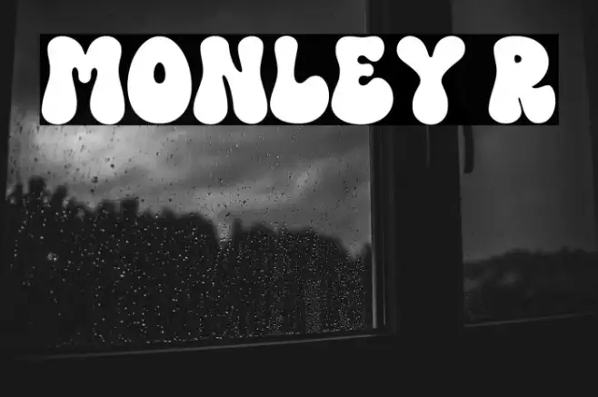 MONLEY Regular Example 3