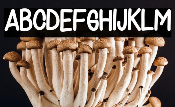 MONNERR WEIST DEMO Example 1