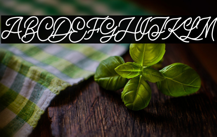 MONOCLEE DEMO Example 1