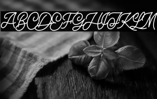 MONOCLEE DEMO Font examples