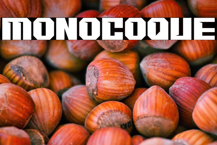 MONOCOQUE Example 2