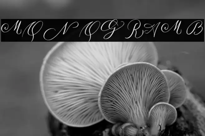 MONOGRAM B Example 2