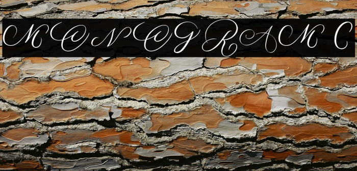 MONOGRAM C Example 3