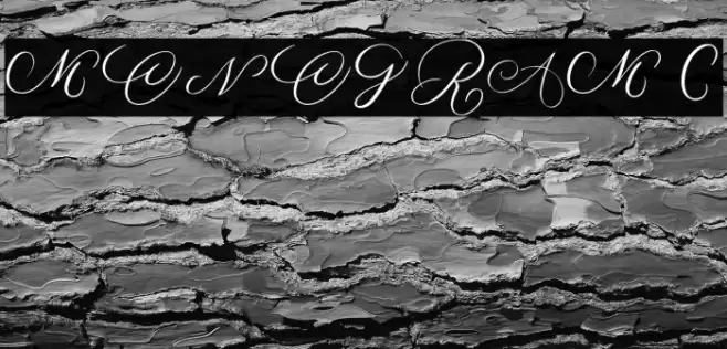 MONOGRAM C Fuentes examples