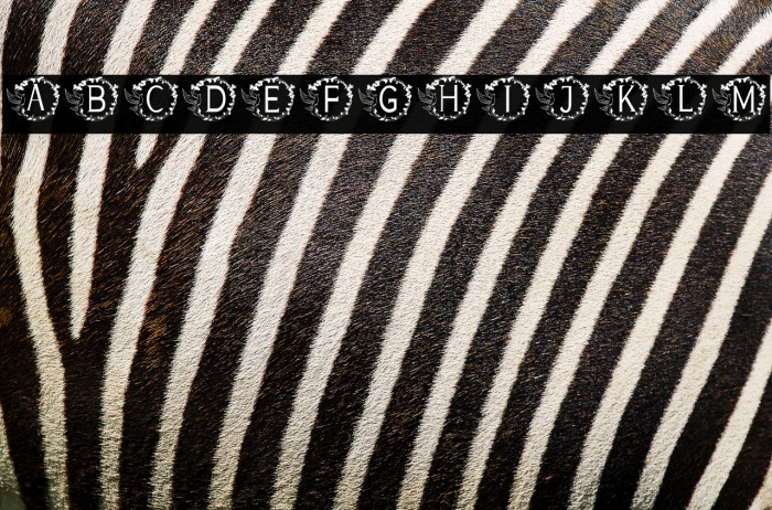 MONOGRAM DARA Example 2