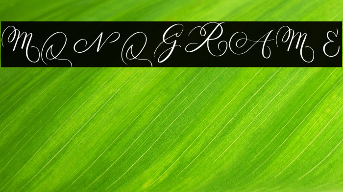 MONOGRAM E Example 1