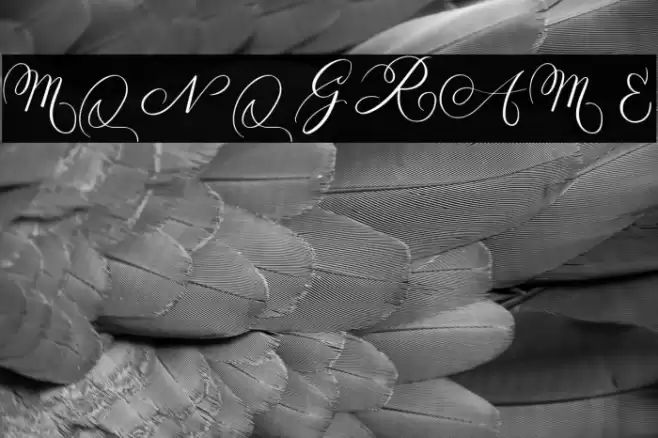 MONOGRAM E Font examples