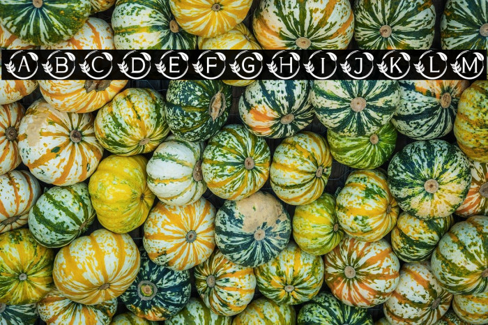 MONOGRAM GOLD Example 3