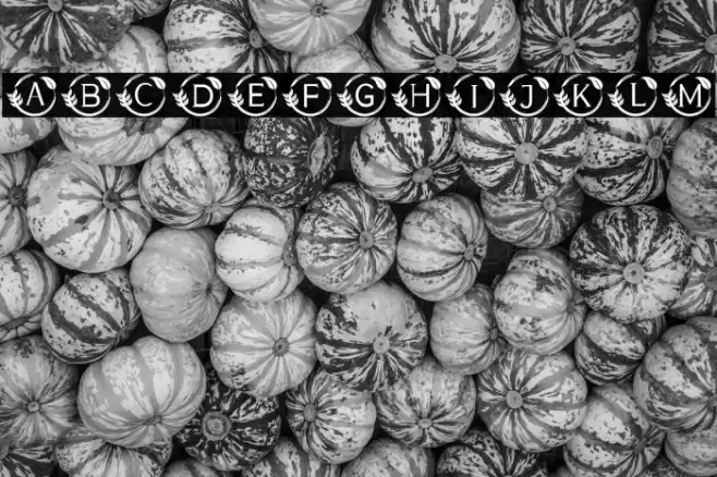 MONOGRAM GOLD Font examples