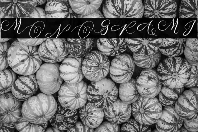 MONOGRAM I Font examples