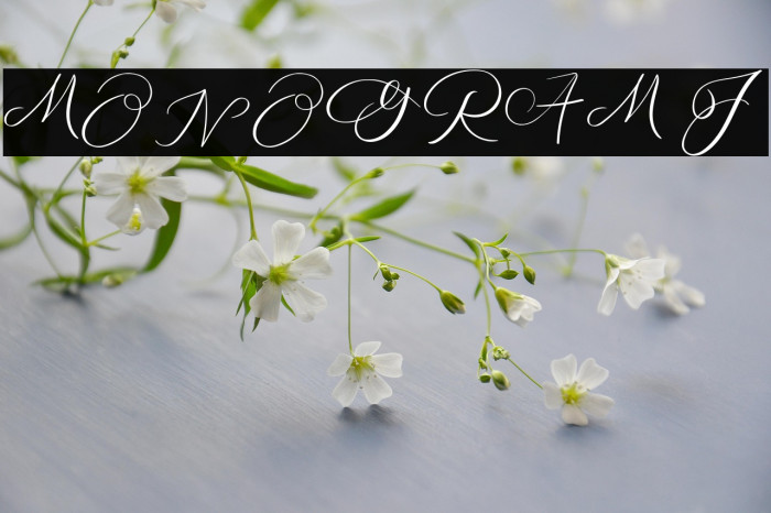 MONOGRAM J Example 1